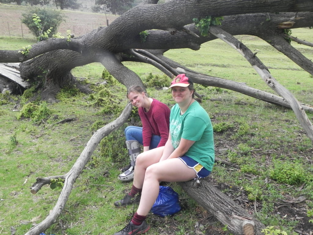 The girls on the farm