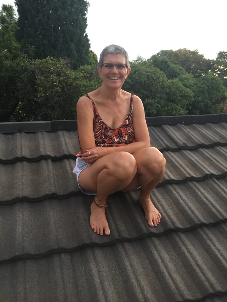 Up on the roof