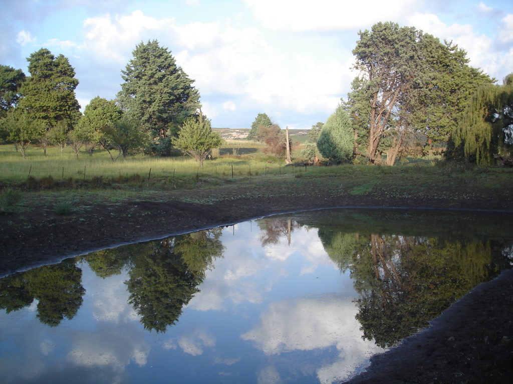 The farm — open landscape
